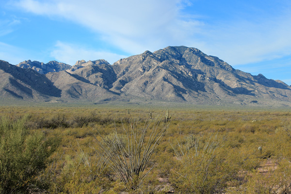 The Coyote Mountains from Arizona Highway 86