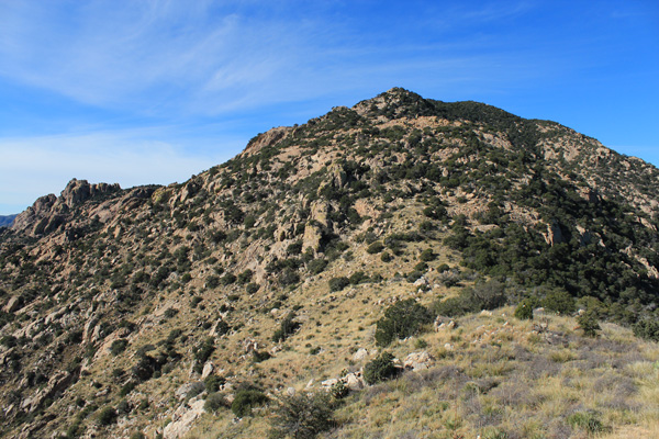 The Coyote Mountains Highpoint from the upper East Ridge