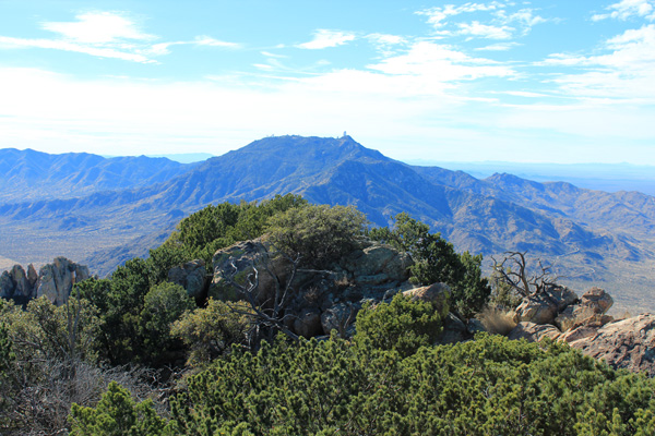 Kitt Peak from the highpoint of the Coyote Mountains
