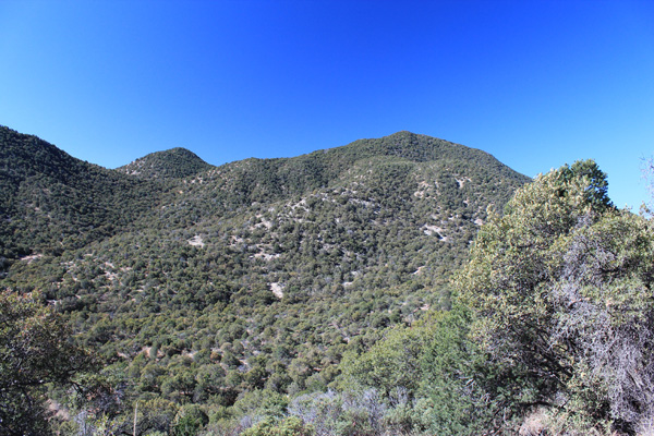 Veterans Peak appears high on the left from Forest Road 61