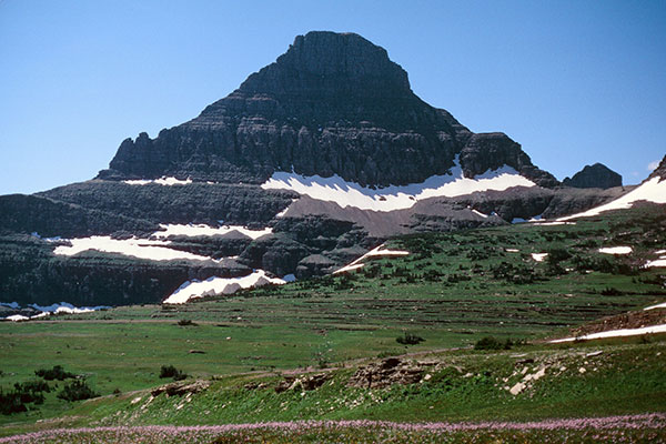 Reynolds Mountain from Logan Pass