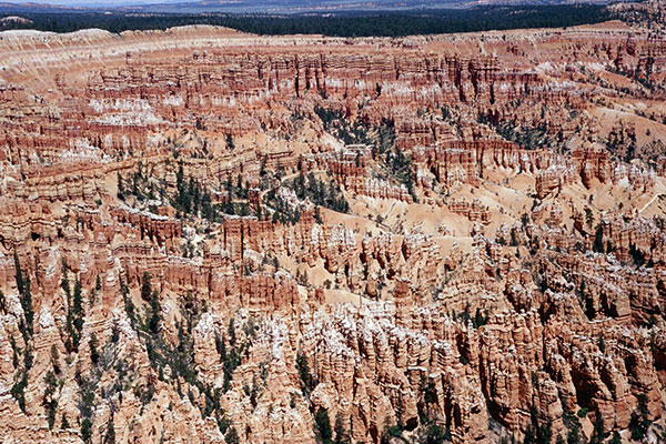 Bryce Canyon National Park from Bryce Point