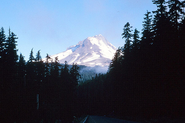 Mt. Hood from Forest Road 48