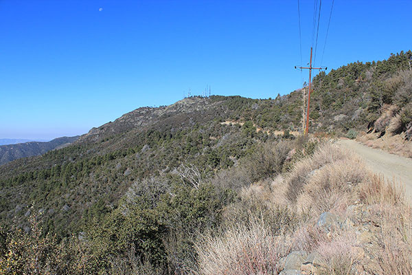The summit of Towers Mountain from the Towers Mountain Road