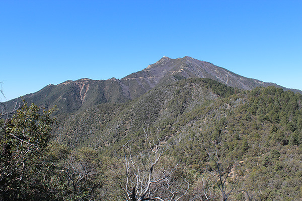 Mount Hopkins from the Super Trail (2015-03-10)