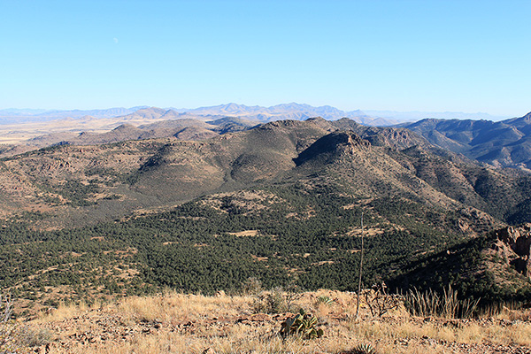 Bryce Mountain, the highpoint of the Gila Mountains, rises far to the southeast.