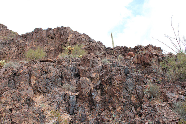 I turn right and climb good rock to the ridge above, passing to the right of the saguaro