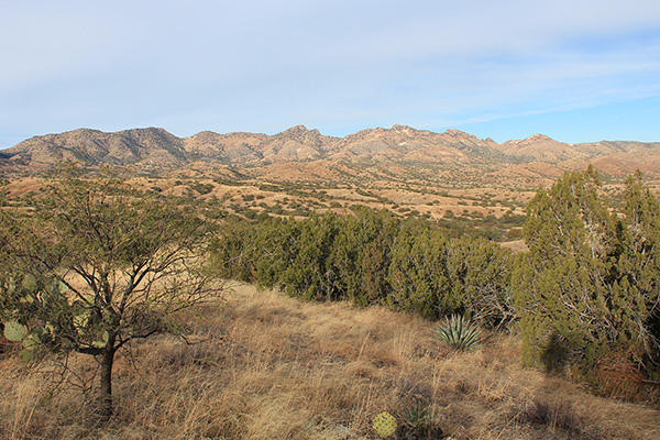 Left to right: Peak 6290, Peak 6280+, Weigles Butte, Helvetia BM, and Harts Butte from AZ Hwy 83 north of Sonoita