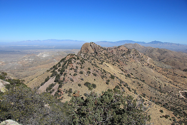 Weigles Butte and Helvetia BM from the summit of Peak 6280+ with the Santa Catalina and Rincon Mountains beyond