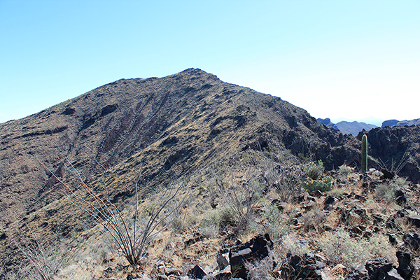 The summit of Sauceda Benchmark from the ridge shoulder