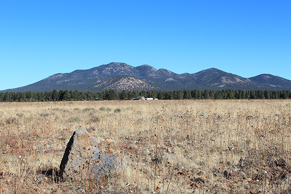 Sitgreaves Mountain from the Pitman Valley