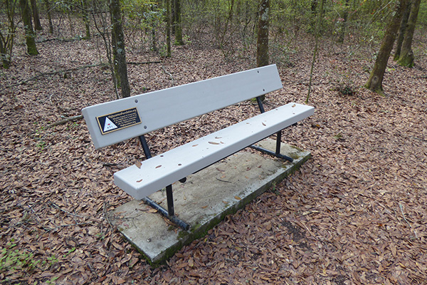 A Highpointers Foundation bench beside a park trail on Britton Hill (March 2022))