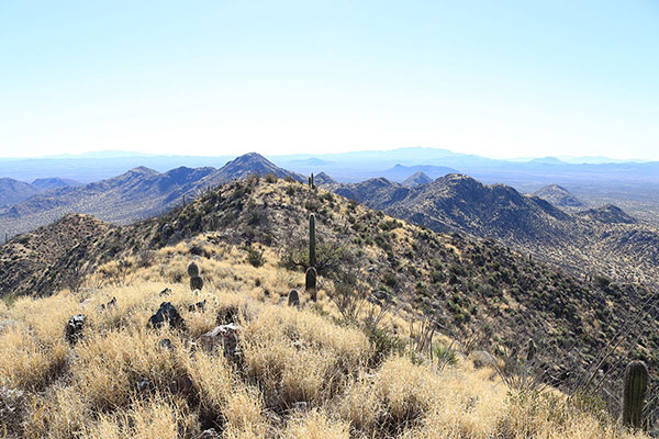 South towards La Sierrita (mountains) in Sonora, Mexico, from the Horse Peak summit