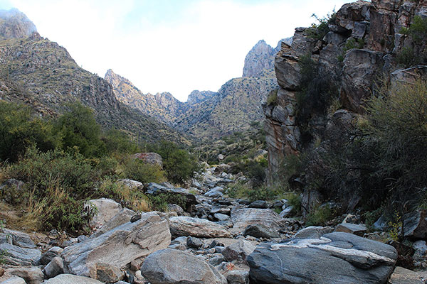Looking up Pima Canyon, with Valentine Peak on the right