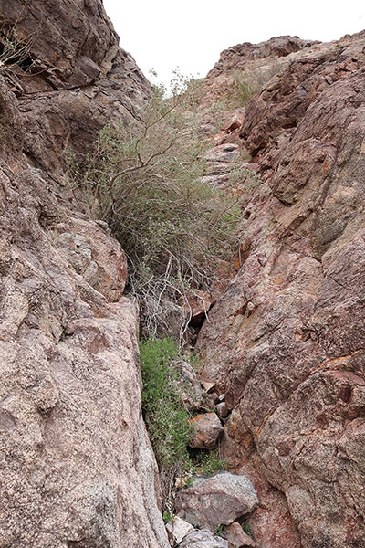 Here the gully narrows and steepens but it was a fun climb with good foot and hand holds