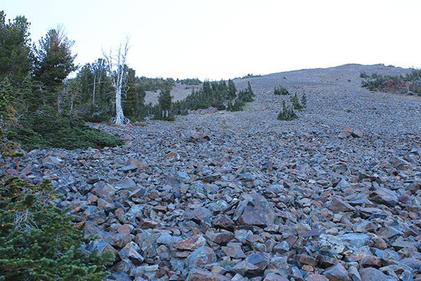 Looking up the talus slopes of the west face from the edge of the forest