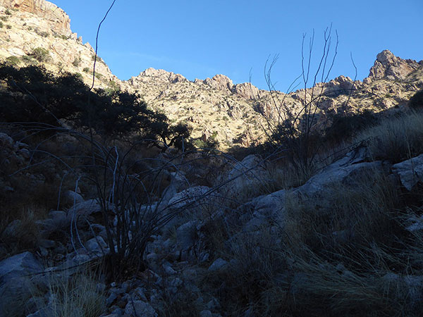 Our first view of Table Tooth above on the left from the floor of Pima Canyon