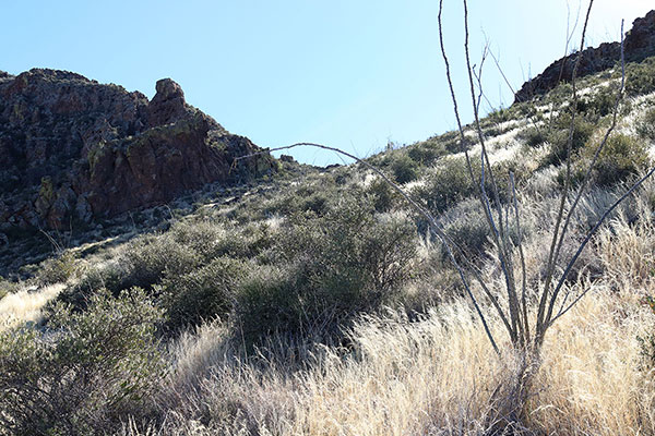 Climbing through dry grass and over loose rocks towards the upper saddle