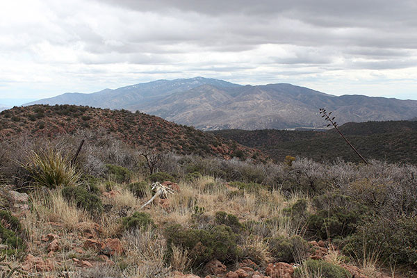 Pinal Peak to the SE from Webster Mountain